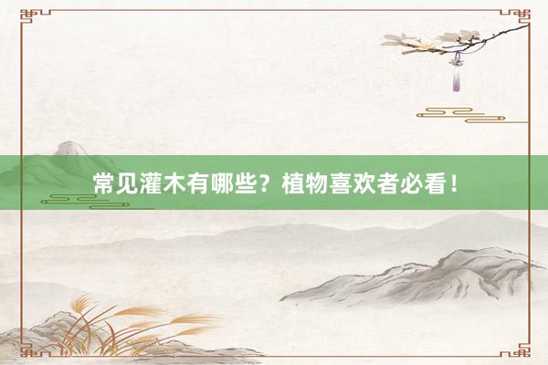常见灌木有哪些？植物喜欢者必看！