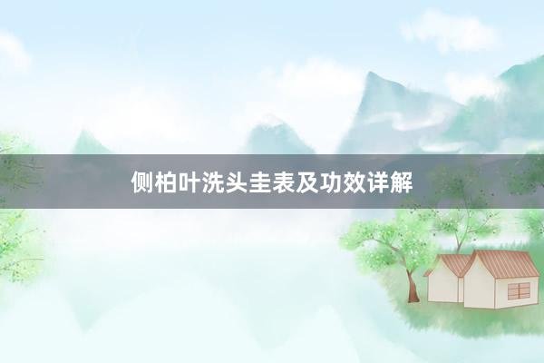 侧柏叶洗头圭表及功效详解