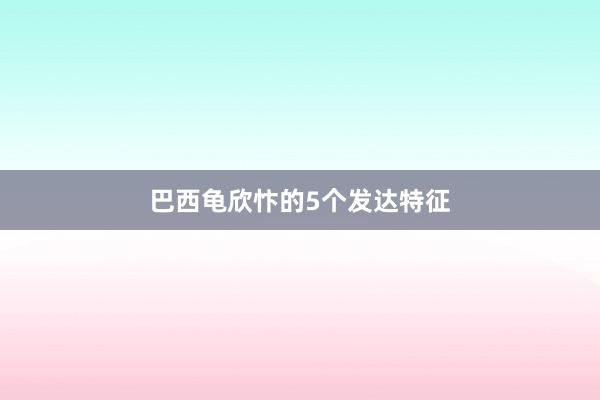 巴西龟欣忭的5个发达特征