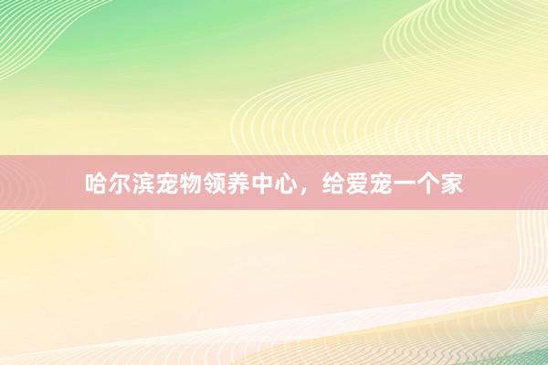 哈尔滨宠物领养中心，给爱宠一个家