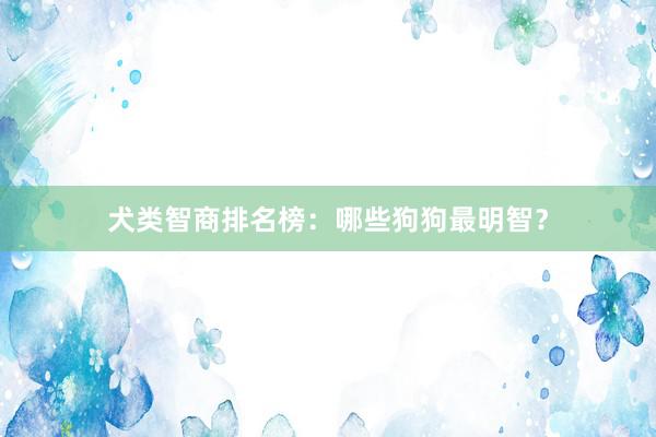 犬类智商排名榜:哪些狗狗最明智?